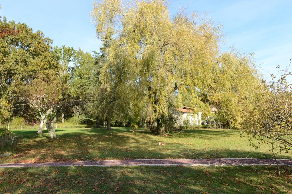 Photo 26